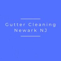 Gutter Cleaning Newark NJ image 1